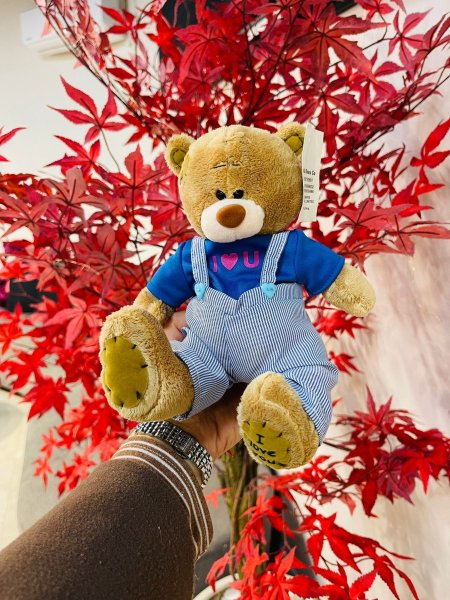 دب تيدي لابس افرهول أزرق